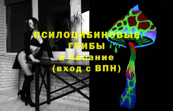 метадон Алексин