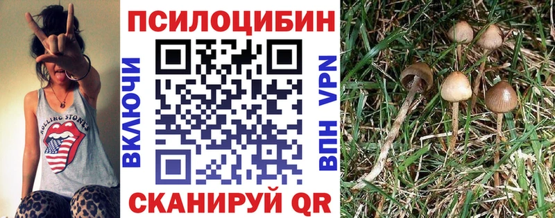 Галлюциногенные грибы Magic Shrooms  как найти закладки  Таруса 